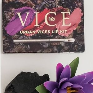 💥SALE💥Urban Decay Vices Lip Kit